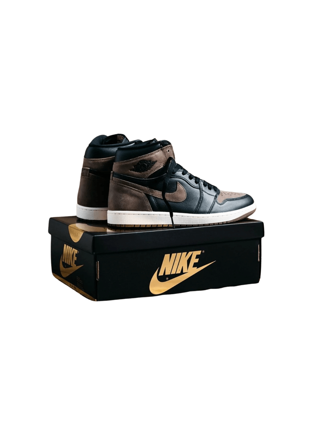 Air Jordan 1 Retro High OG 'Palomino' - DZ5485 - 020 - Ritesneak