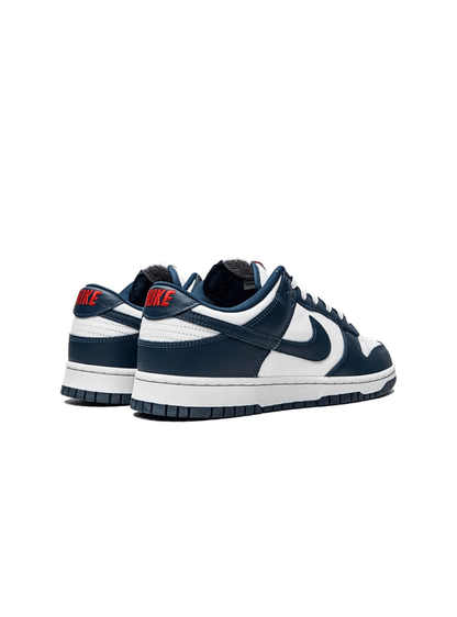 Nike Dunk Low Valerian Blue - DD1391 - 400 - Ritesneak